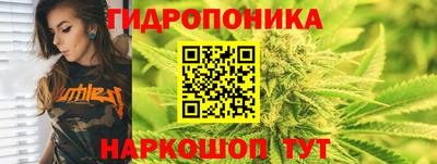 винт Гудермес