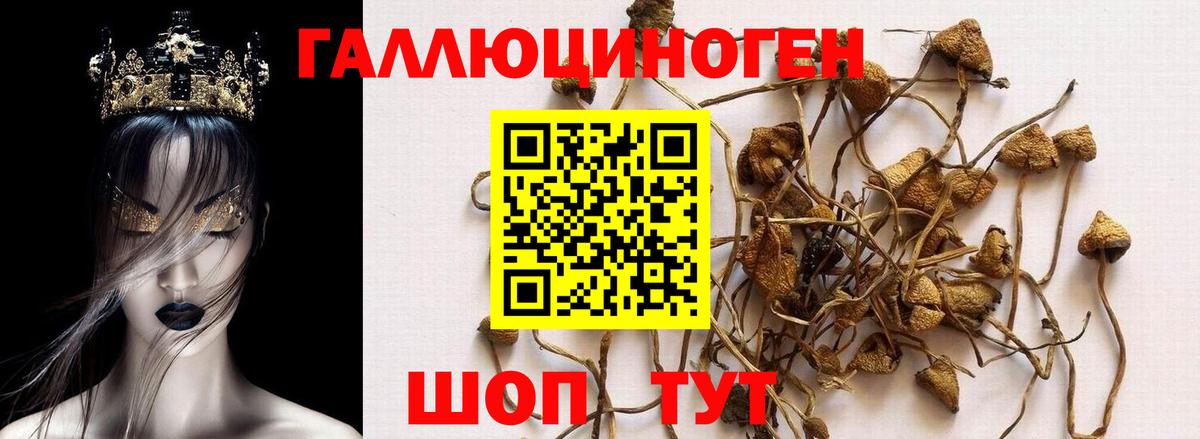 Галлюциногенные грибы мицелий  Вход с VPN  Псилоцибиновые грибы ЛСД  Ногинск 